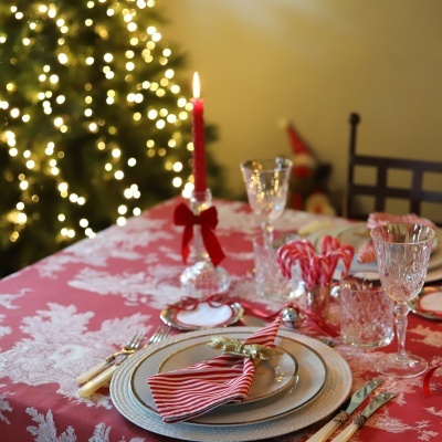 Toalha em Toile de Jouy com Fundo de Cor