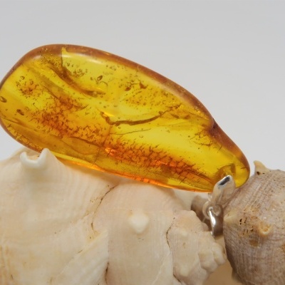 Pendente Âmbar Prata 925 Pendente Âmbar Prata 925