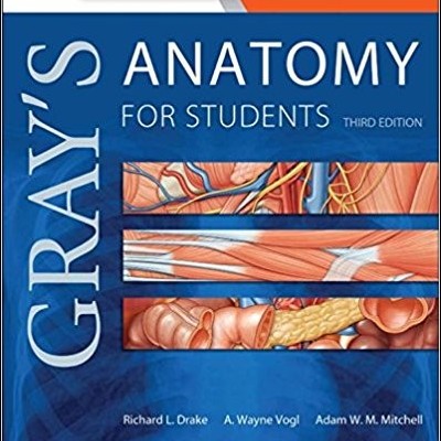 GRAY’S ANATOMY FOR STUDENTS