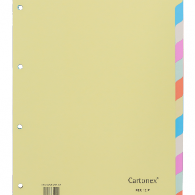 Separador Cartolina 12P Cartonex