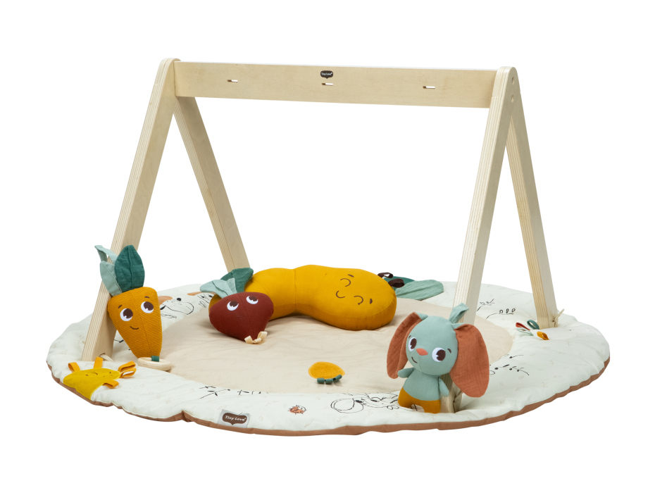 Tiny Love Tapete de Atividades Garden