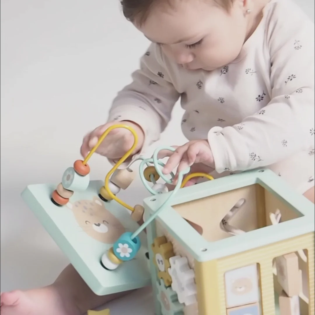 Saro Cubo de Atividades