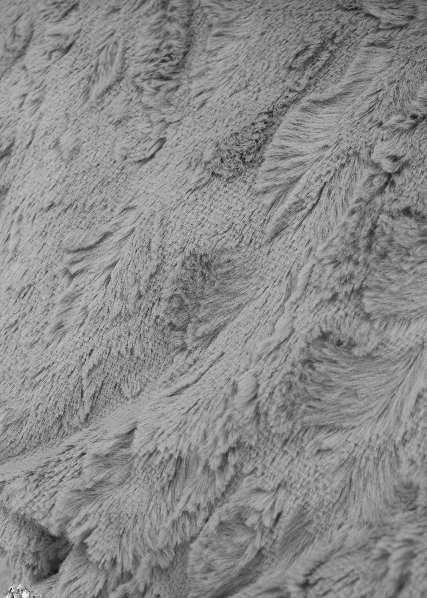 Tapa-pés Koala Silver