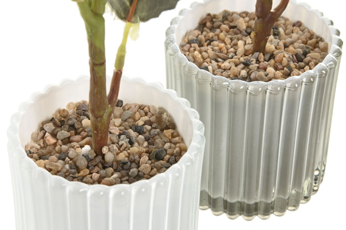 Vasos brancos de vidro canelado com pedras e ramos de plantas