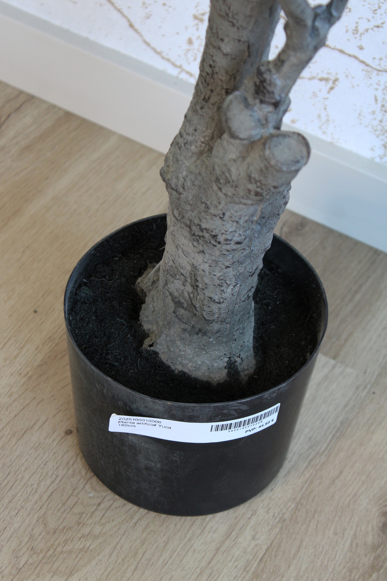 Vaso preto com terra e tronco de árvore cinzento em chão de madeira