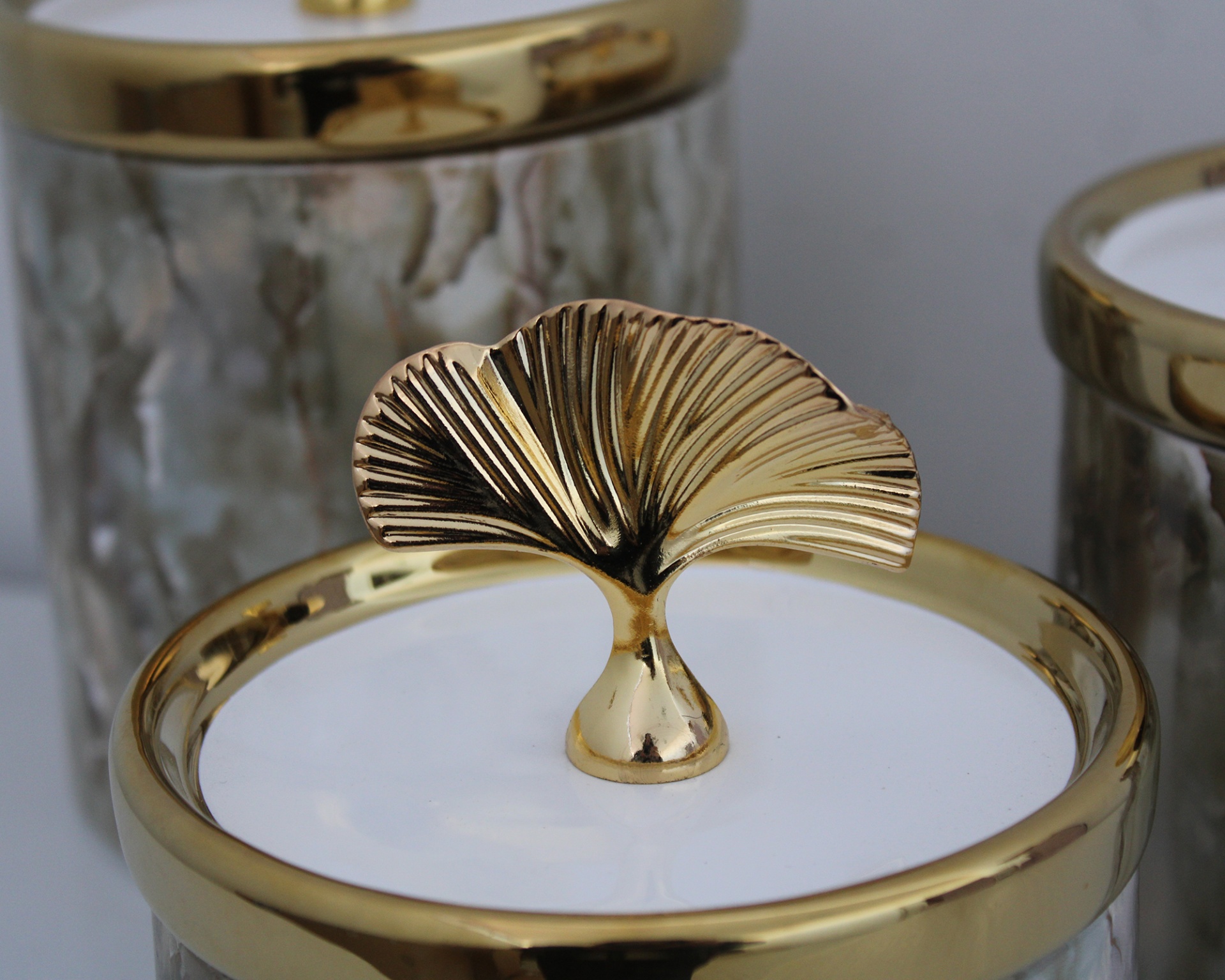 Potes Decorativos com Tampa Dourada e Detalhe em Folha