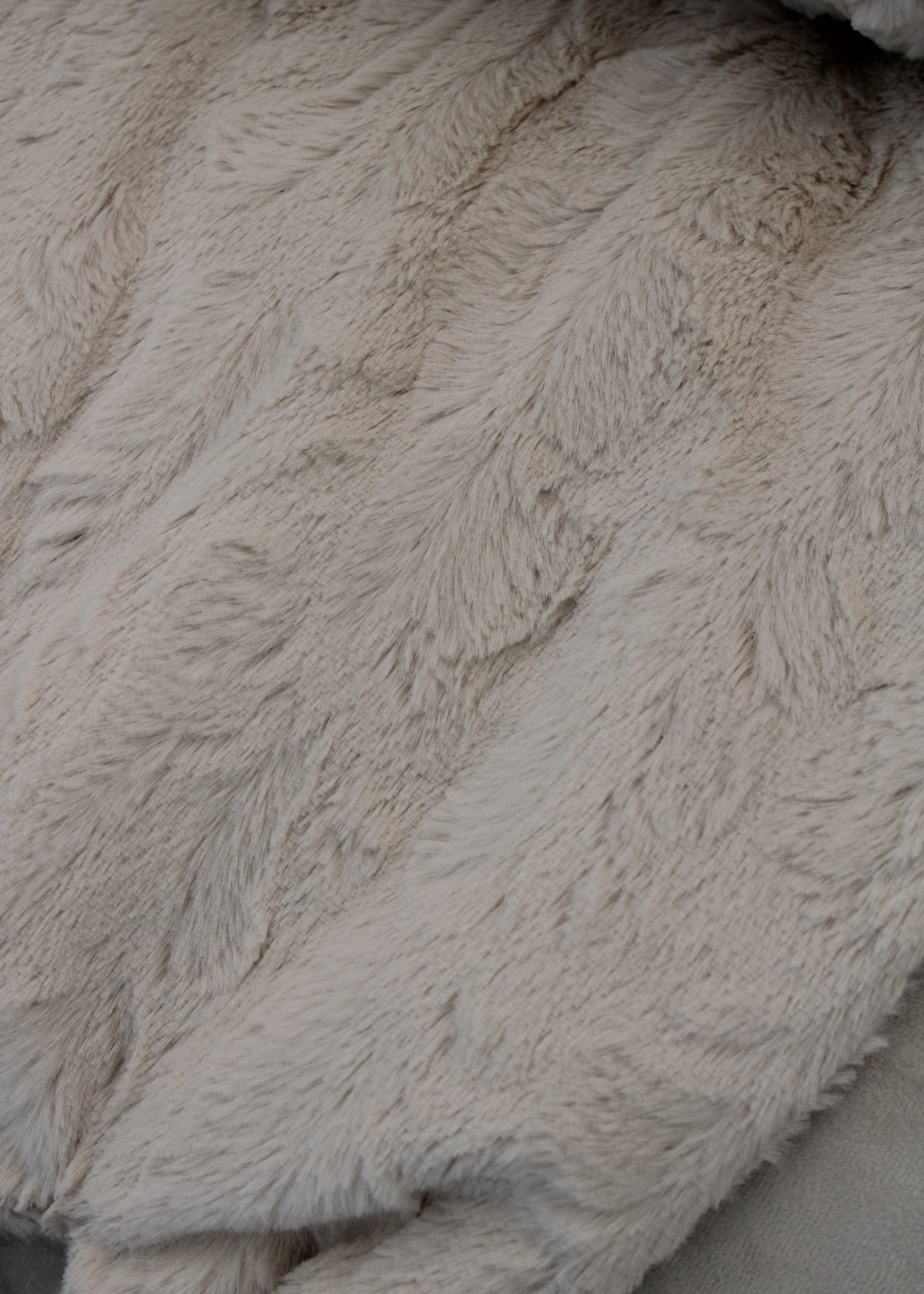 Tapa-pés Koala Cream