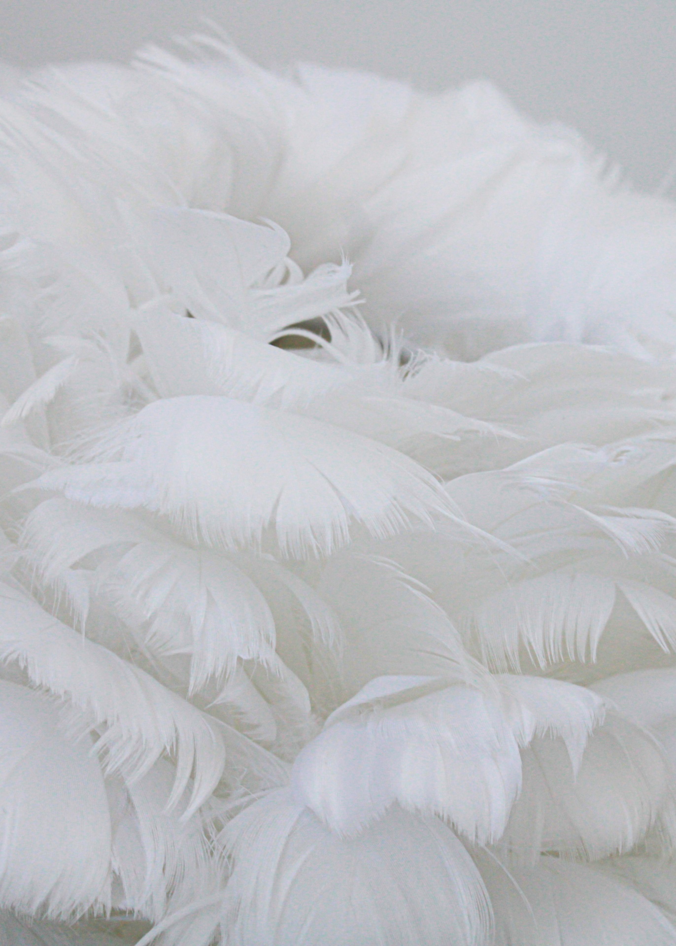 Candeeiro Swan Prateado