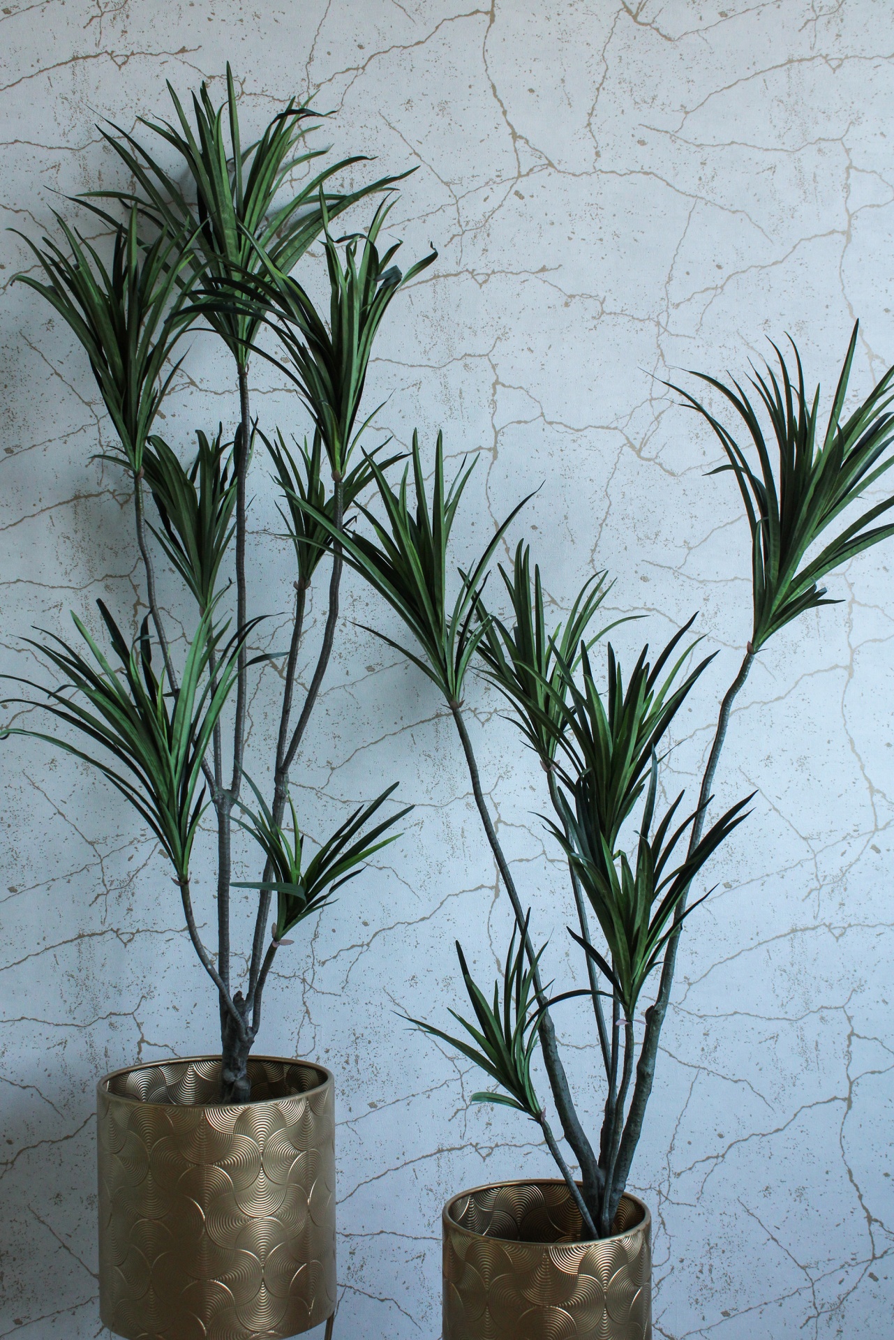 Duas plantas artificiais em vasos dourados com padrão circular, parede branca rachada ao fundo