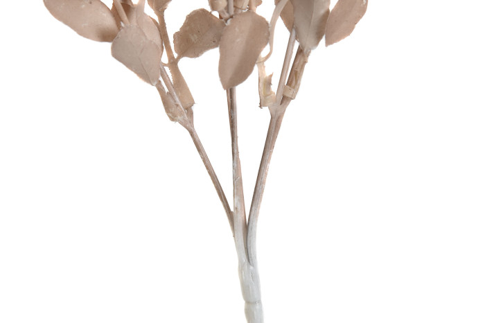 Ramo de flores secas