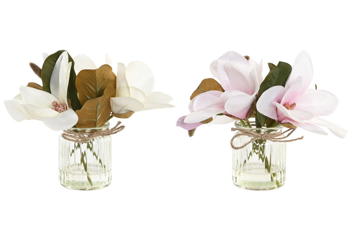 Planta decorativa magnólia