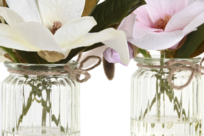 Planta decorativa magnólia