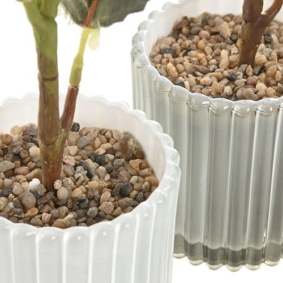 Vasos brancos de vidro canelado com pedras e ramos de plantas