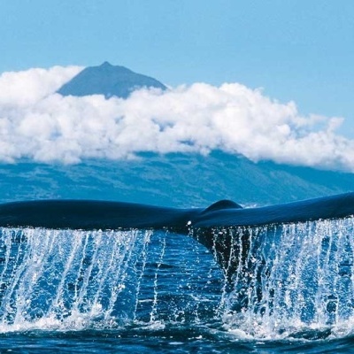 Viagens  + de 2 Dias