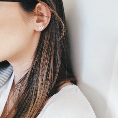 Brincos em aço - Houma