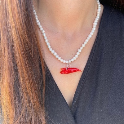 Colar em aço - Red Lobster