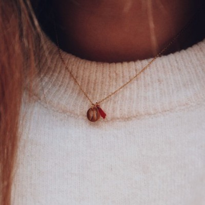 Colar em aço - Phoenix