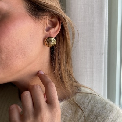 Brincos em aço - Shell