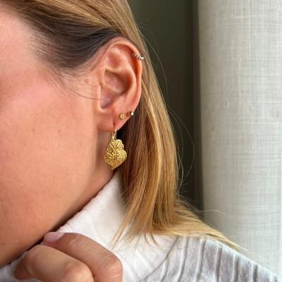 Brincos em aço - Coração de Viana