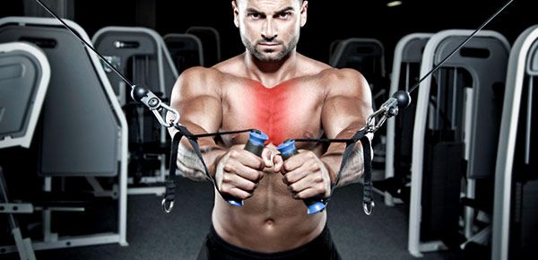 ANABOLISMO vs CATABOLISMO: ENTENDA AS PRINCIPAIS DIFERENÇAS