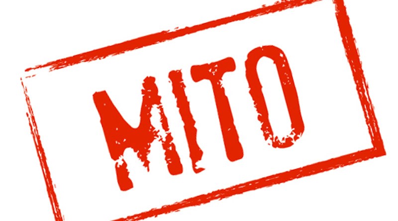 MITO - NUTRIÇÃO DESPORTIVA MITO - NUTRIÇÃO DESPORTIVA