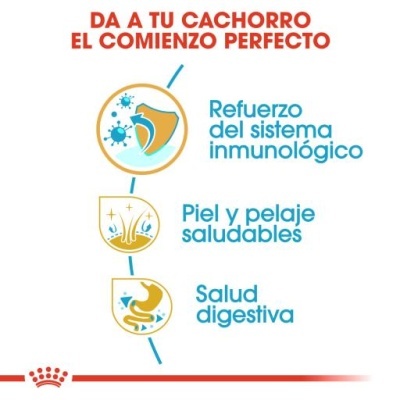Royal Canin Cocker Puppy Ração Seca para Cachorros da Raça