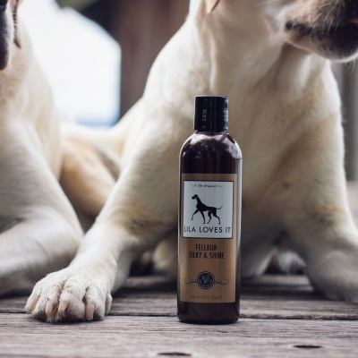 CONDICIONADOR BRILHO SEDOSO INTENSO 250 ml