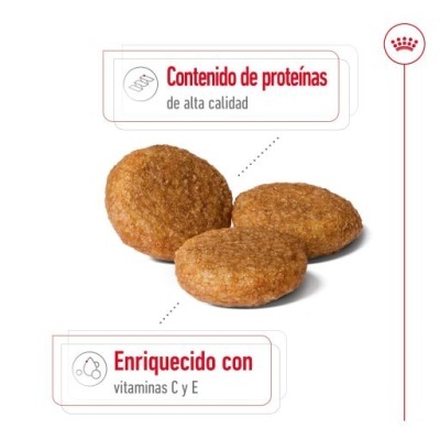 Royal Canin Medium Adult - Ração seca para cão de porte médio