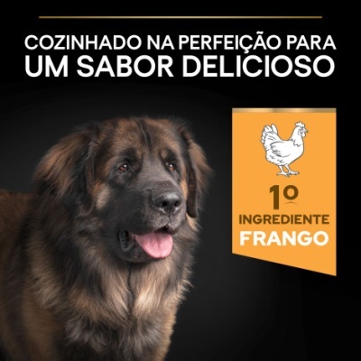 Purina Pro Plan Large Robust Adult Everyday Nutrition - Frango