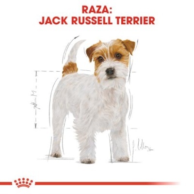 Royal Canin Jack Russell Terrier Adult para Cães Adultos da Raça Jack Russell
