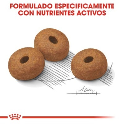 Royal Canin Light Weight Care Maxi Adult - Ração seca para cão de porte grande para controlo de peso