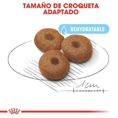 Royal Canin Starter Mother & Babydog Maxi - Ração seca para cachorro recém-nascido e cadela gestante/lactante de porte grande