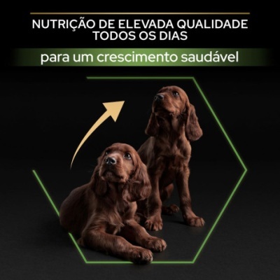 Purina Pro Plan Large Athletic Puppy Healthy Start com Frango