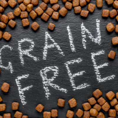 Ração sem cereais: será a melhor escolha para o teu patudo?