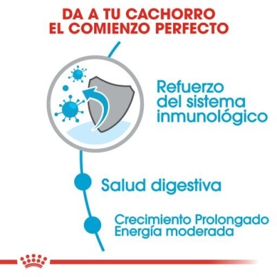 Royal Canin Puppy Maxi - Ração seca para cachorro de porte grande