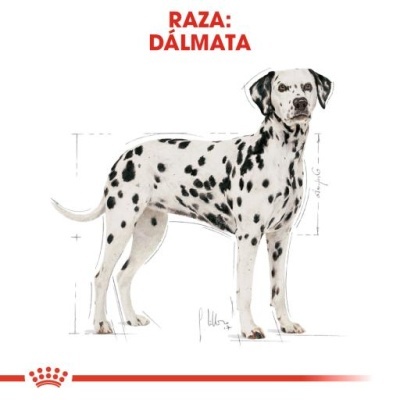 Royal Canin Ração Seca Cão Adulto Dálmata