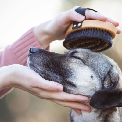 ESCOVA DE PELO CURTO VEGAN