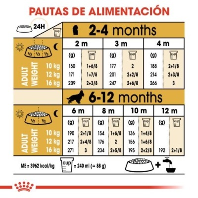 Royal Canin Cocker Puppy Ração Seca para Cachorros da Raça