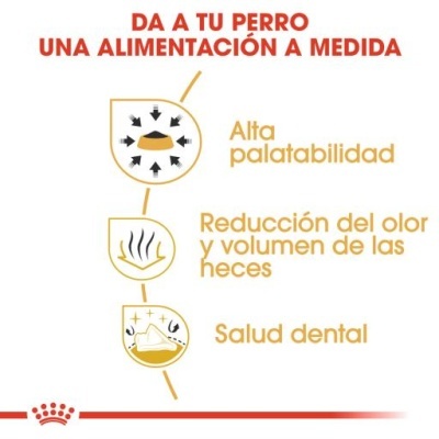 Royal Canin Chihuahua Adult para Cães Adultos da Raça Chihuahua