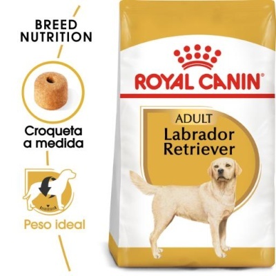 Royal Canin Labrador Retriever Adult Ração Seca Cão Adulto de Raça