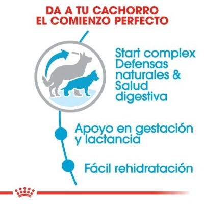 Royal Canin Starter Mother & Babydog Maxi - Ração seca para cachorro recém-nascido e cadela gestante/lactante de porte grande