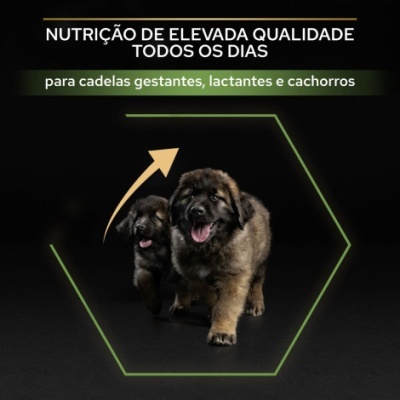 Purina Pro Plan Healthy Start Large Robust Puppy - Frango