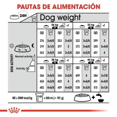 Royal Canin Maxi Dermaconfort Caes Adultos com Pele Sensivel