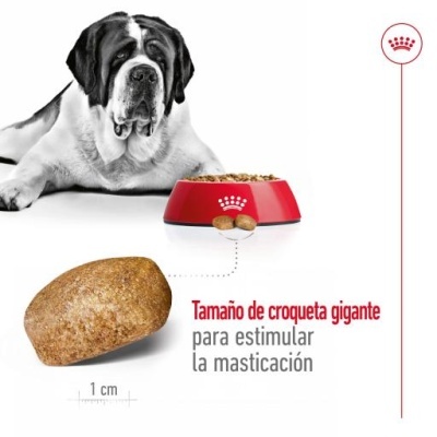 Royal Canin Giant Adult para Cães Adultos de Raça Gigante