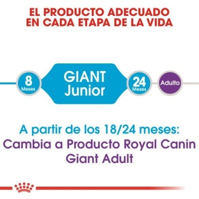 Royal Canin Giant Junior Ração Seca Cachorros Raças de Tamanho Gigante