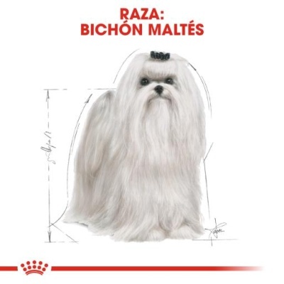 Royal Canin Maltese Adult