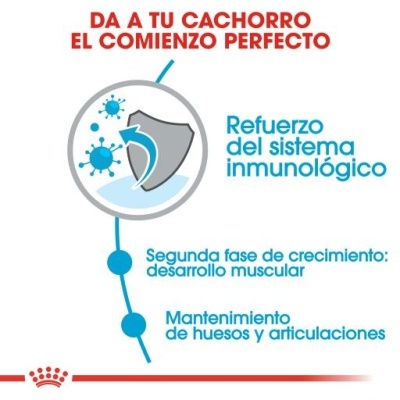 Royal Canin Giant Junior Ração Seca Cachorros Raças de Tamanho Gigante