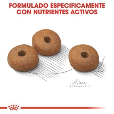 Royal Canin Medium Light Weight Care