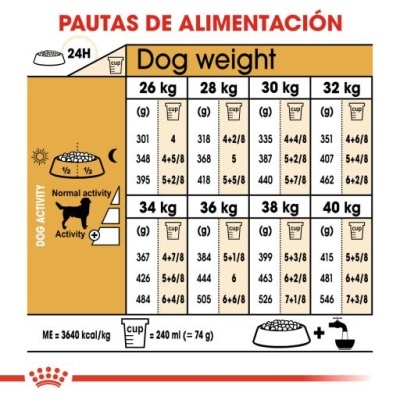 Royal Canin Labrador Retriever Adult Ração Seca Cão Adulto de Raça