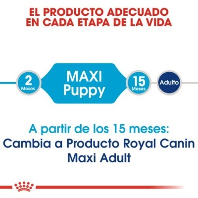 Royal Canin Puppy Maxi - Ração seca para cachorro de porte grande